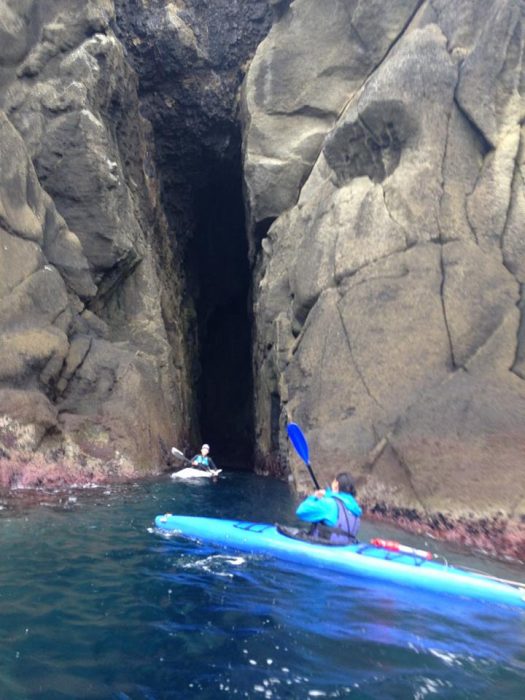 14516480_1244661515591631_8312182702978518585_n