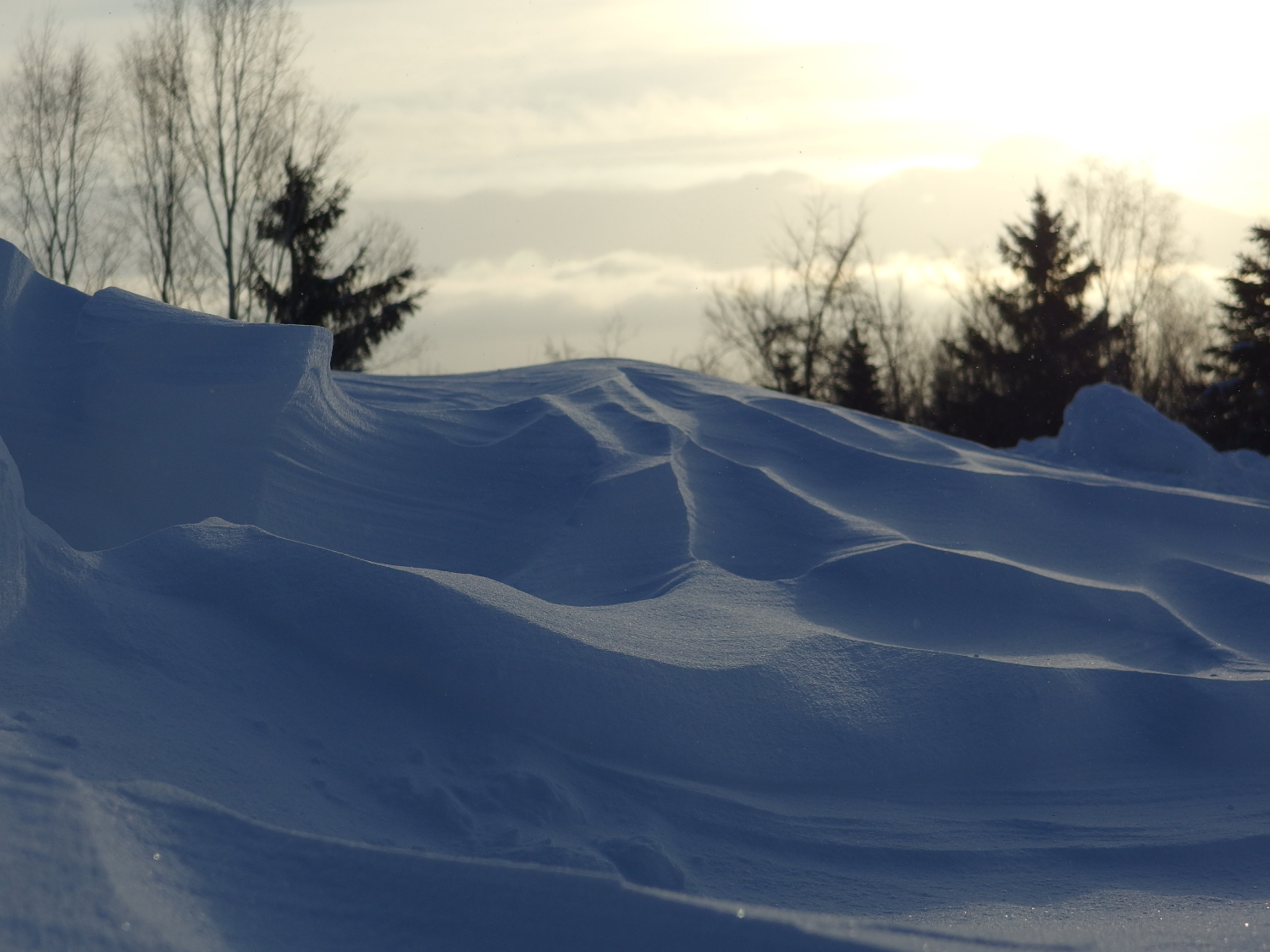 丘の上と言うことは風当たりの強い場所です。 風の強い日、朝ドアを開けると。