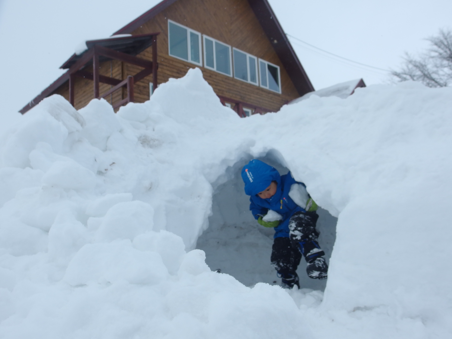 雪洞（？）を掘ったり。 より、フィールドテストとフィードバックに良い場所です。
