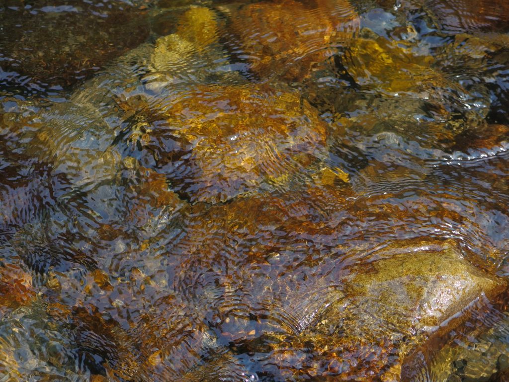ライズ（魚が水面を流れる餌への捕食行動）する事を祈りながらの昼休み。