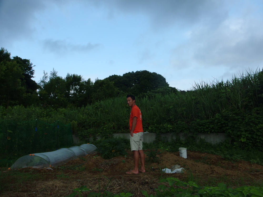 朝、畑を見せてもらった。 商品に関係する人が、食べ物を自分で育てる。 この人の言う事はリアリティがある。
