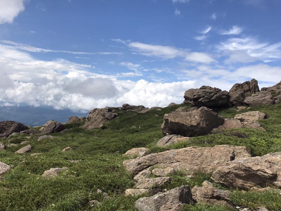 20479423_1746819982025033_8991477166030850265_n