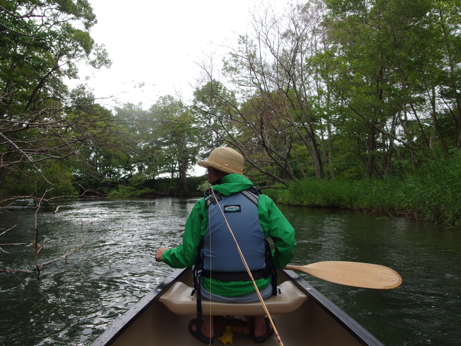 気を取り直して、釧路川源流をカヌーで下りました。