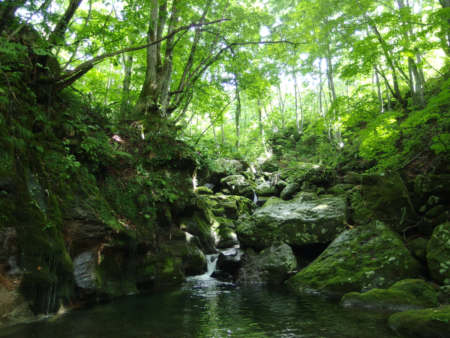 そして青い森、八甲田。