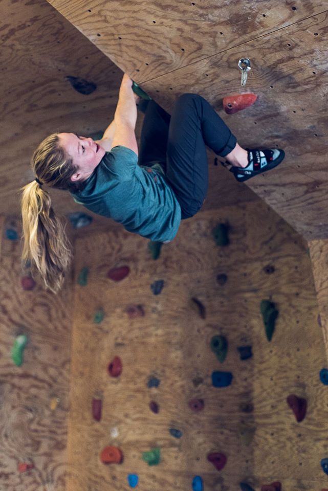 15977745_1371803722878182_3507224910536303195_n