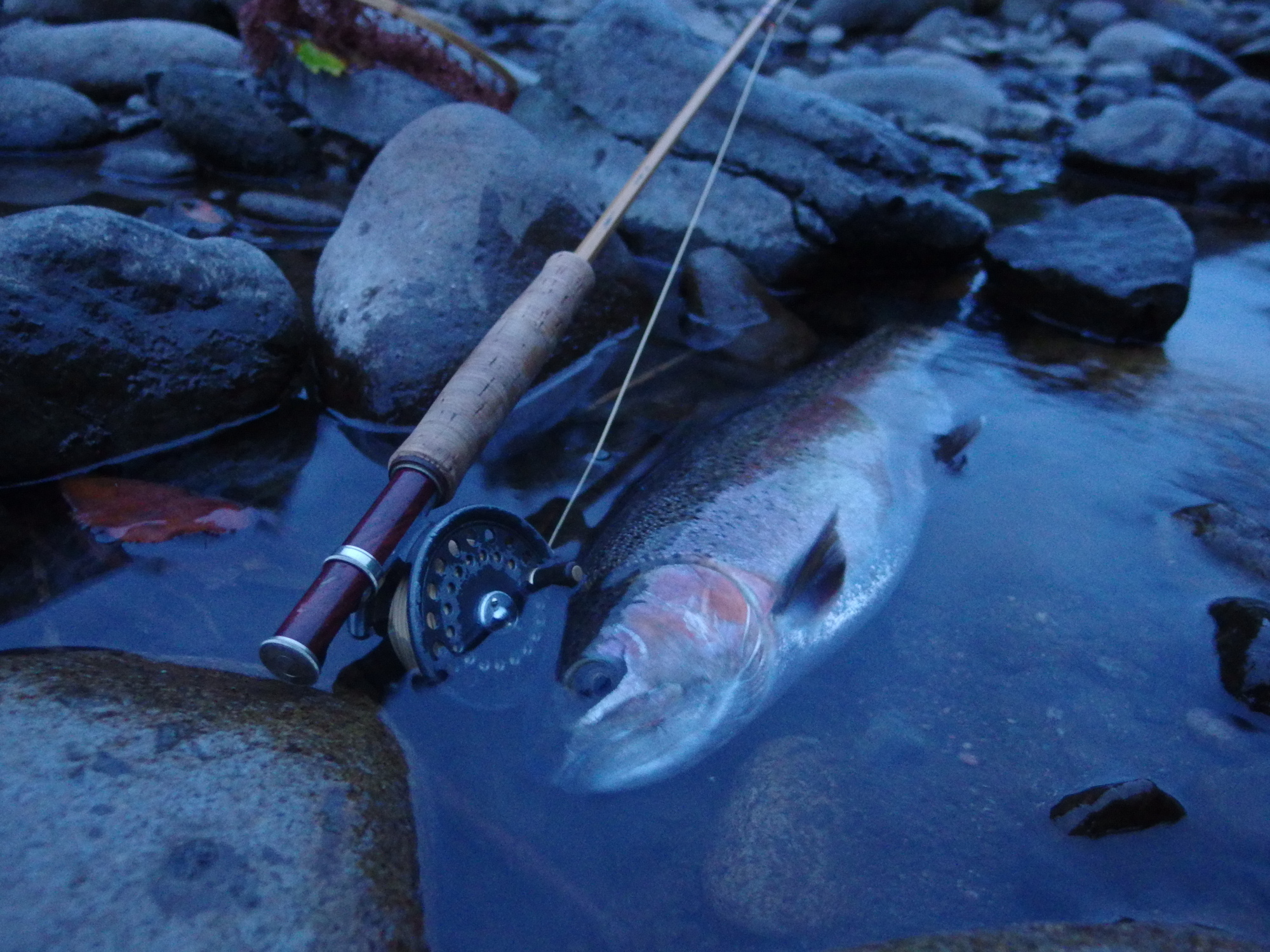 大物のスイッチが入りました！