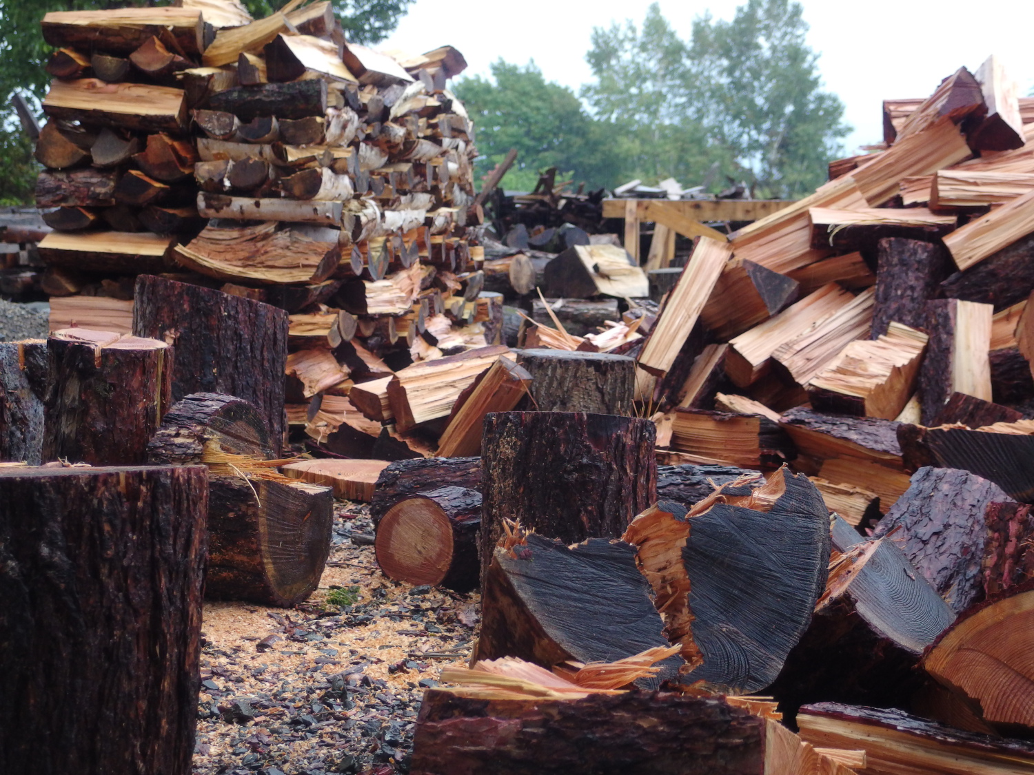 朝の気温は7℃まで下がり、慌てて冬支度です。