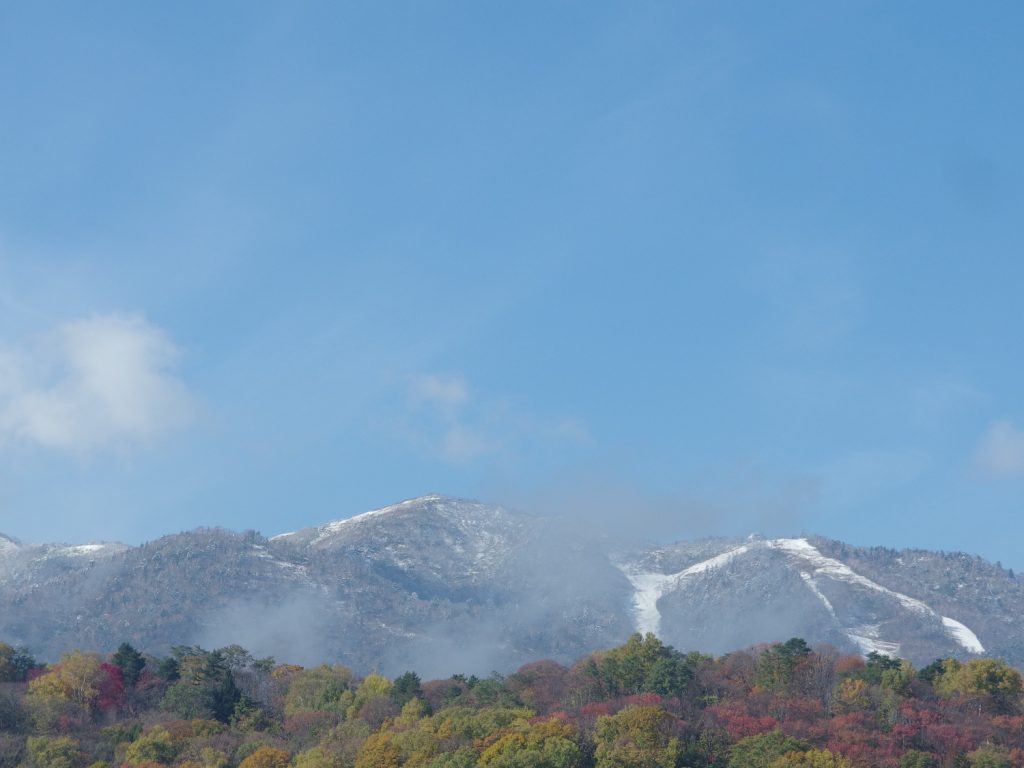 富良野スキー場もこの通り!