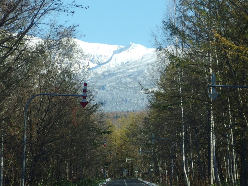 山へ向かうと。