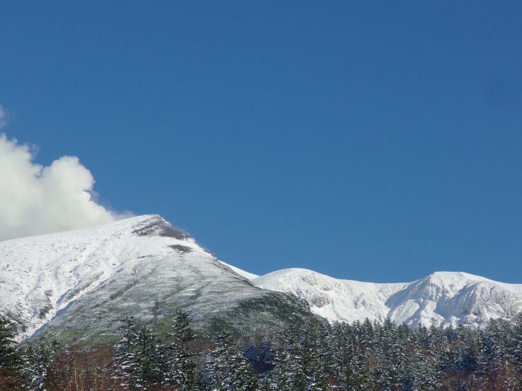 この通り。 秋から冬へ。