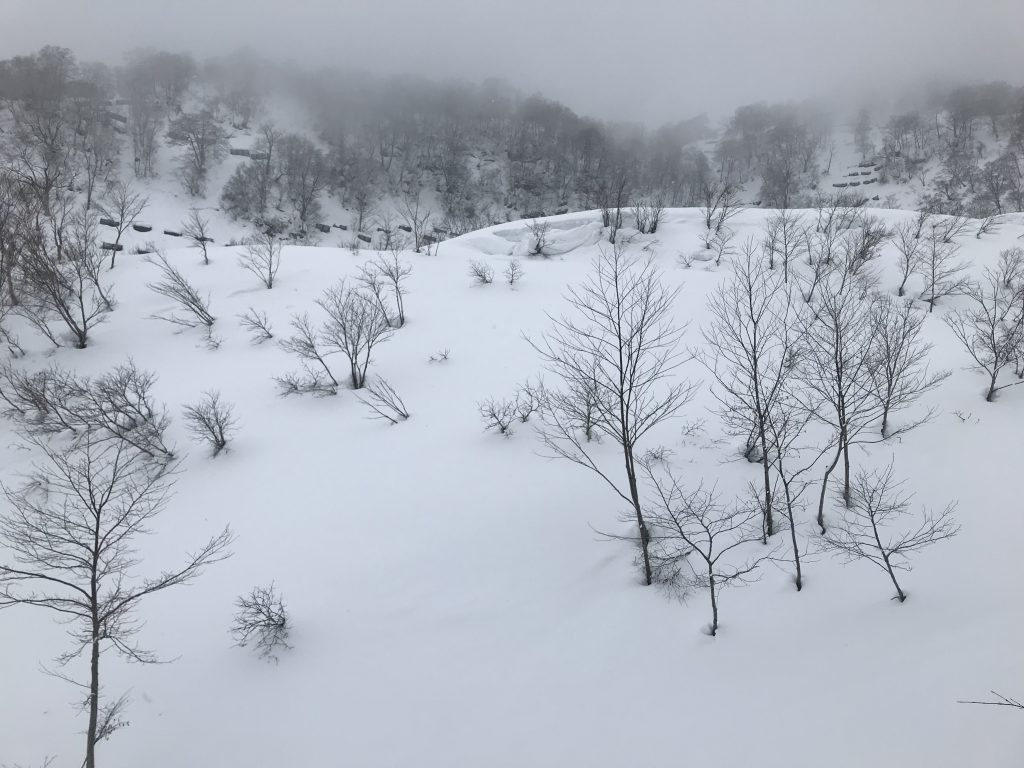 3EE7C198-B7BF-4811-A5D7-BA246D412ABC