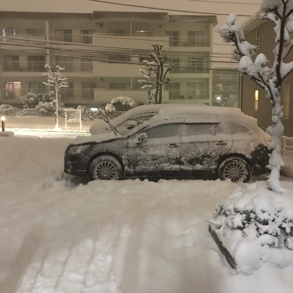 {"colorSpace":"kCGColorSpaceDisplayP3","cameraType":"Wide","macroEnabled":false,"qualityMode":2,"deviceTilt":0.0084809501979012936,"customExposureMode":0,"extendedExposure":false,"whiteBalanceProgram":0,"cameraPosition":1,"focusMode":0}