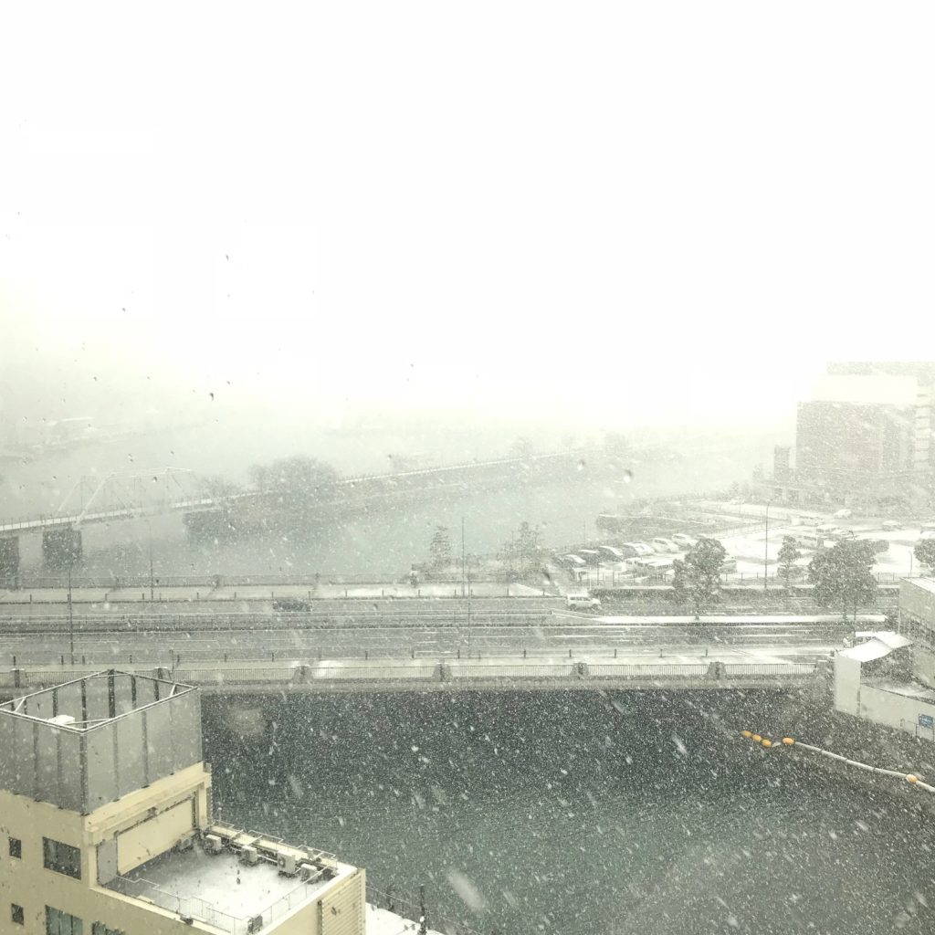 {"colorSpace":"kCGColorSpaceDisplayP3","cameraType":"Wide","macroEnabled":false,"qualityMode":2,"deviceTilt":-0.011013940968785718,"customExposureMode":4,"extendedExposure":false,"whiteBalanceProgram":3,"cameraPosition":1,"focusMode":2}