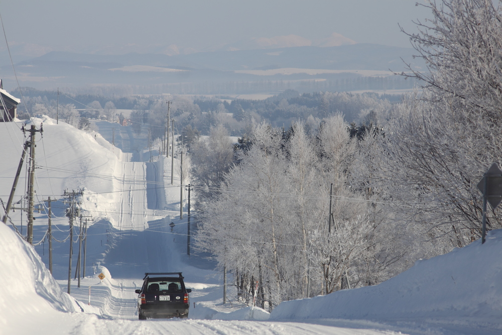 愛息を幼稚園に送り届け。 久しぶりにかみさんとデート。