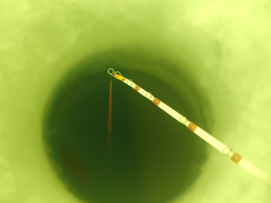 今年の釣りシーズンイン。