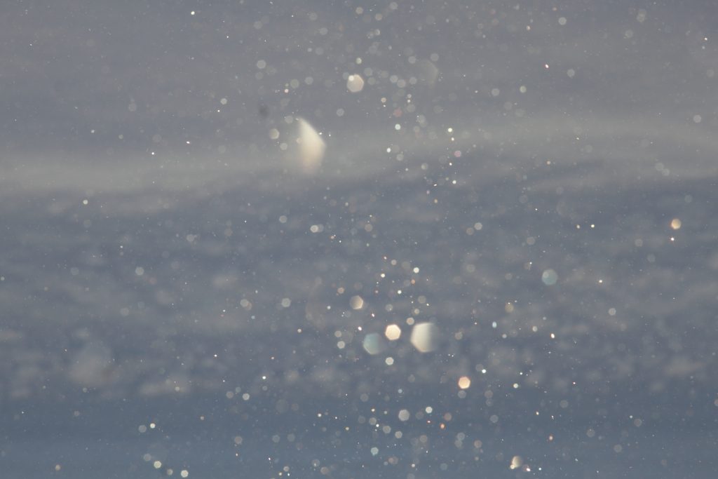 ぐっと冷え込み、ダイヤモンドダストが見えたと思えば。