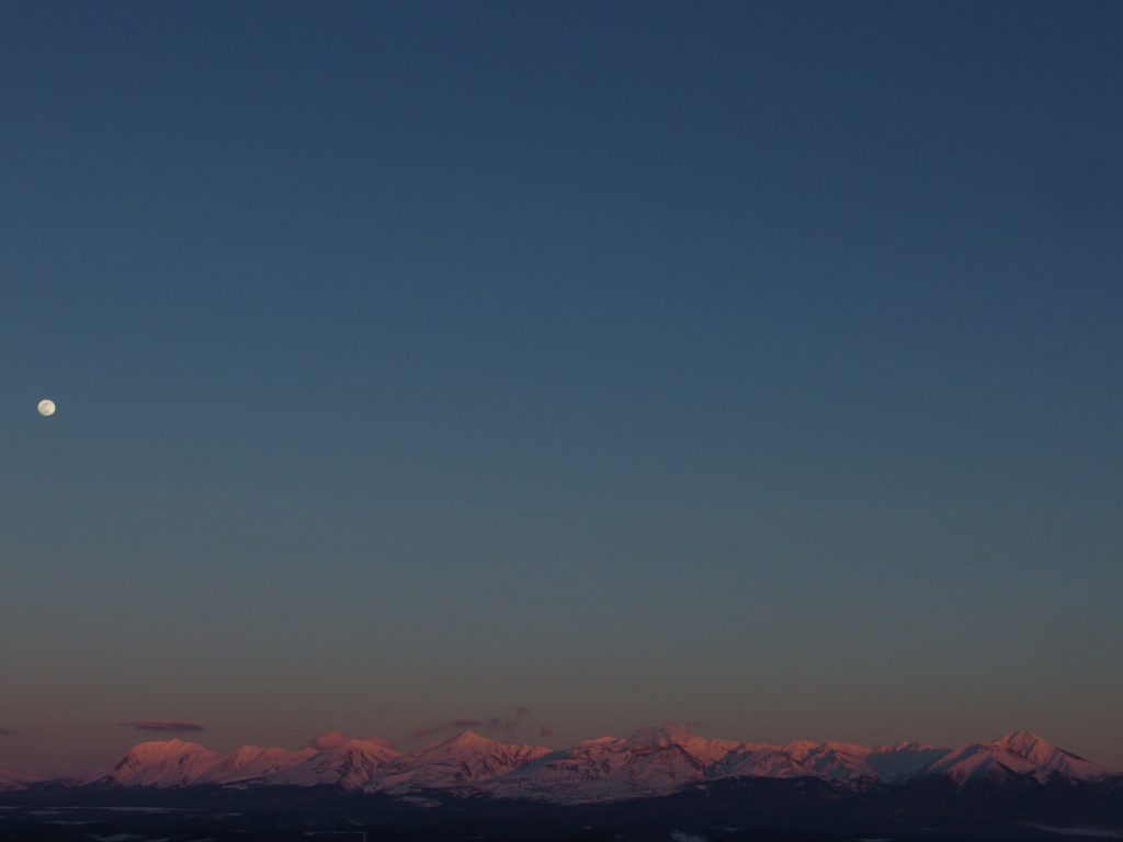 山を染める紅色もすっかり春の色です。