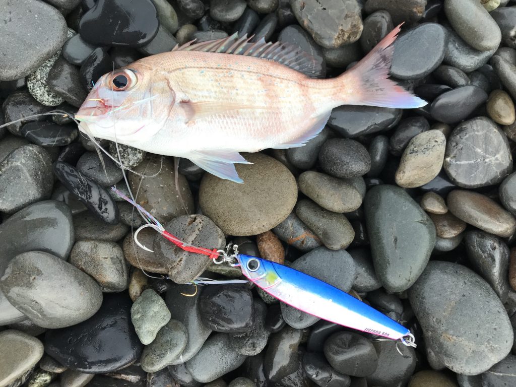 4449E842-CB1E-4A04-84F2-1DBCAD8C23CE