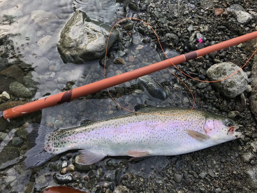 4AE076A7-C59E-40AC-981D-DEB3E5CE4253