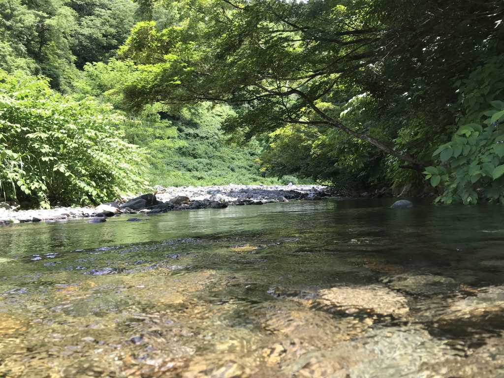 8DED8E0E-ACC5-4E3C-AF40-954DD7AB4AC3