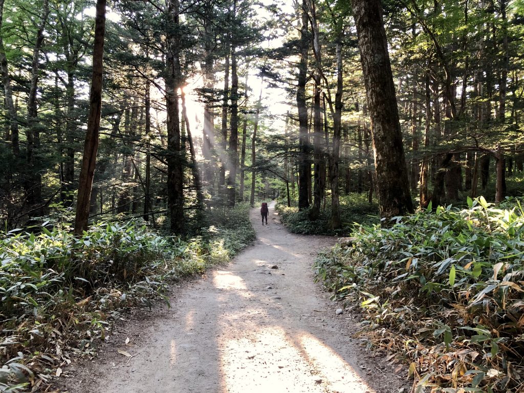 CFE9AEEE-9F10-4C3C-8657-D5380DEFD8C3