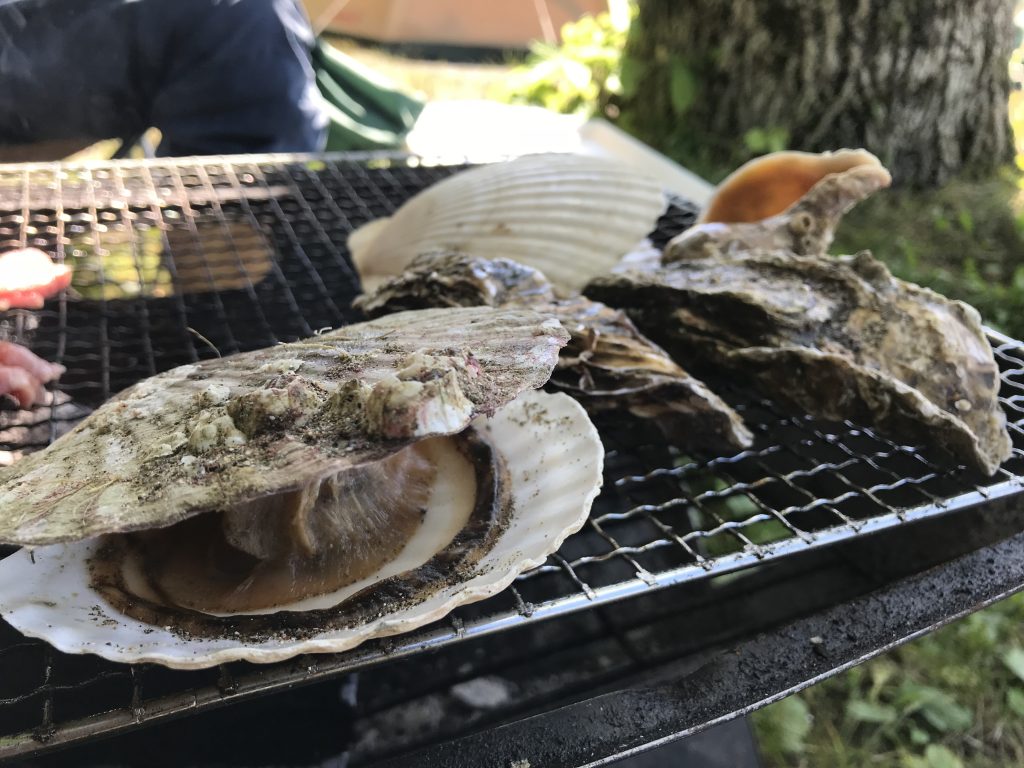 F5DD8AD8-DDD2-4B1C-A068-A17DBF2E62D4