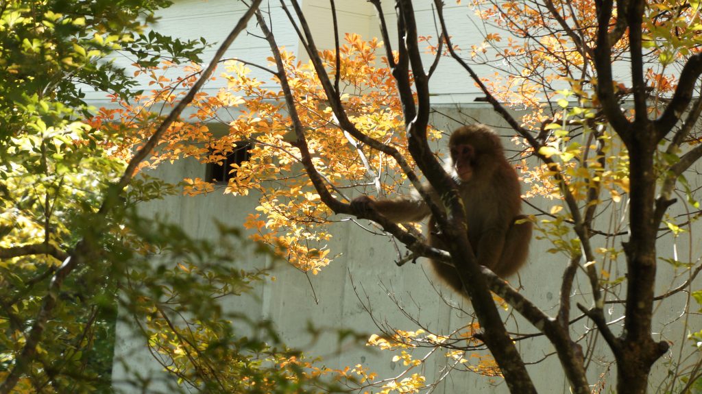 91E004F1-0900-4128-8E3D-EFD2A99BB01B