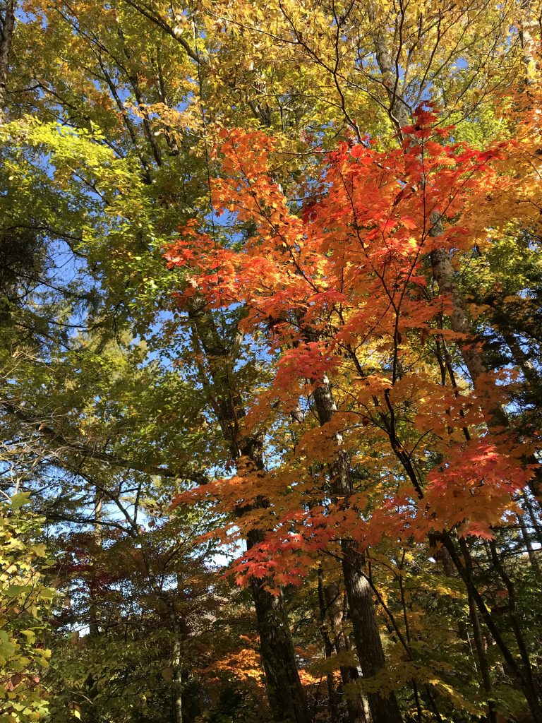 D0575FE3-BD4E-419E-A164-A803720EEC4A