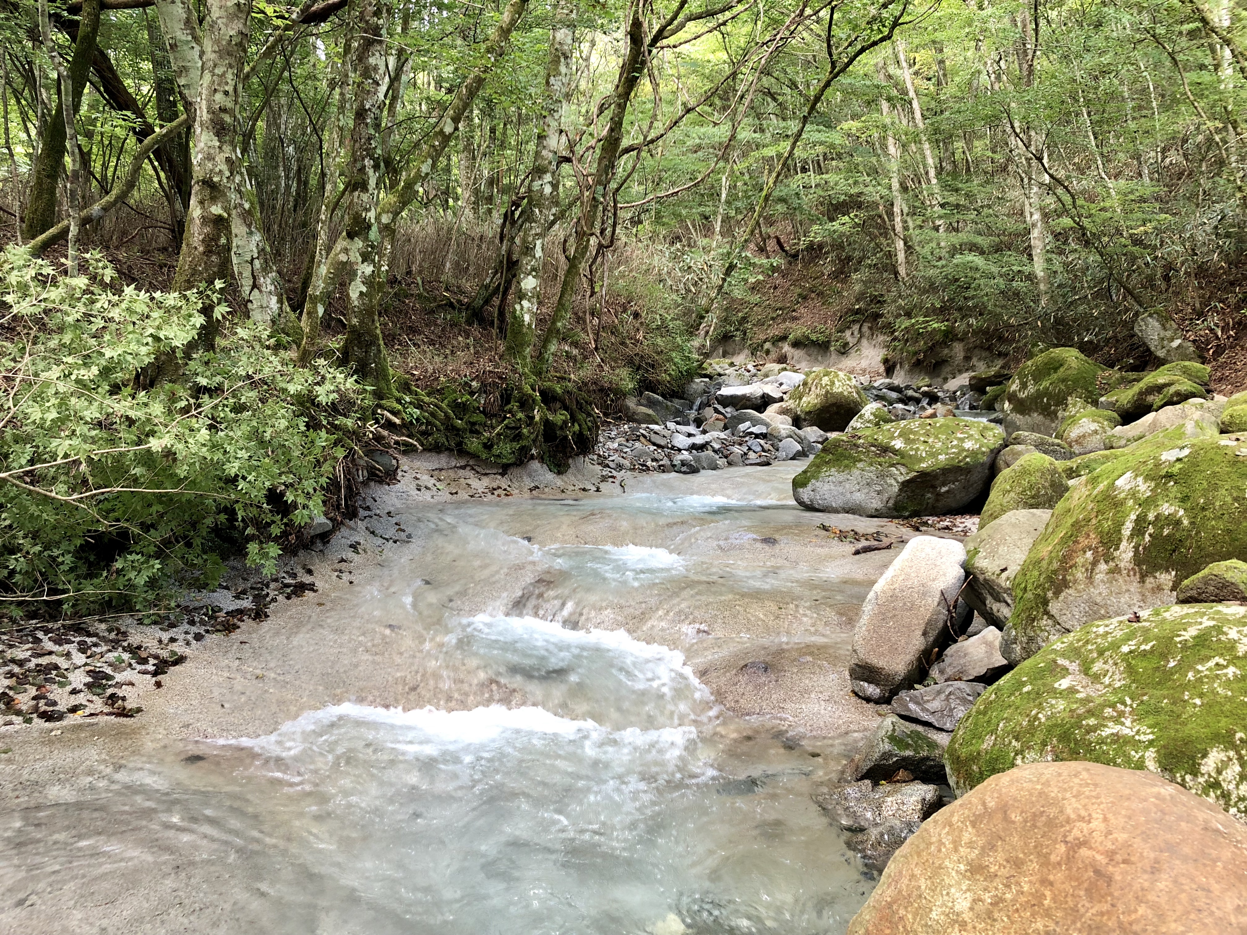 0FDE3D36-86D2-4C72-A15A-2C97D8404BD5