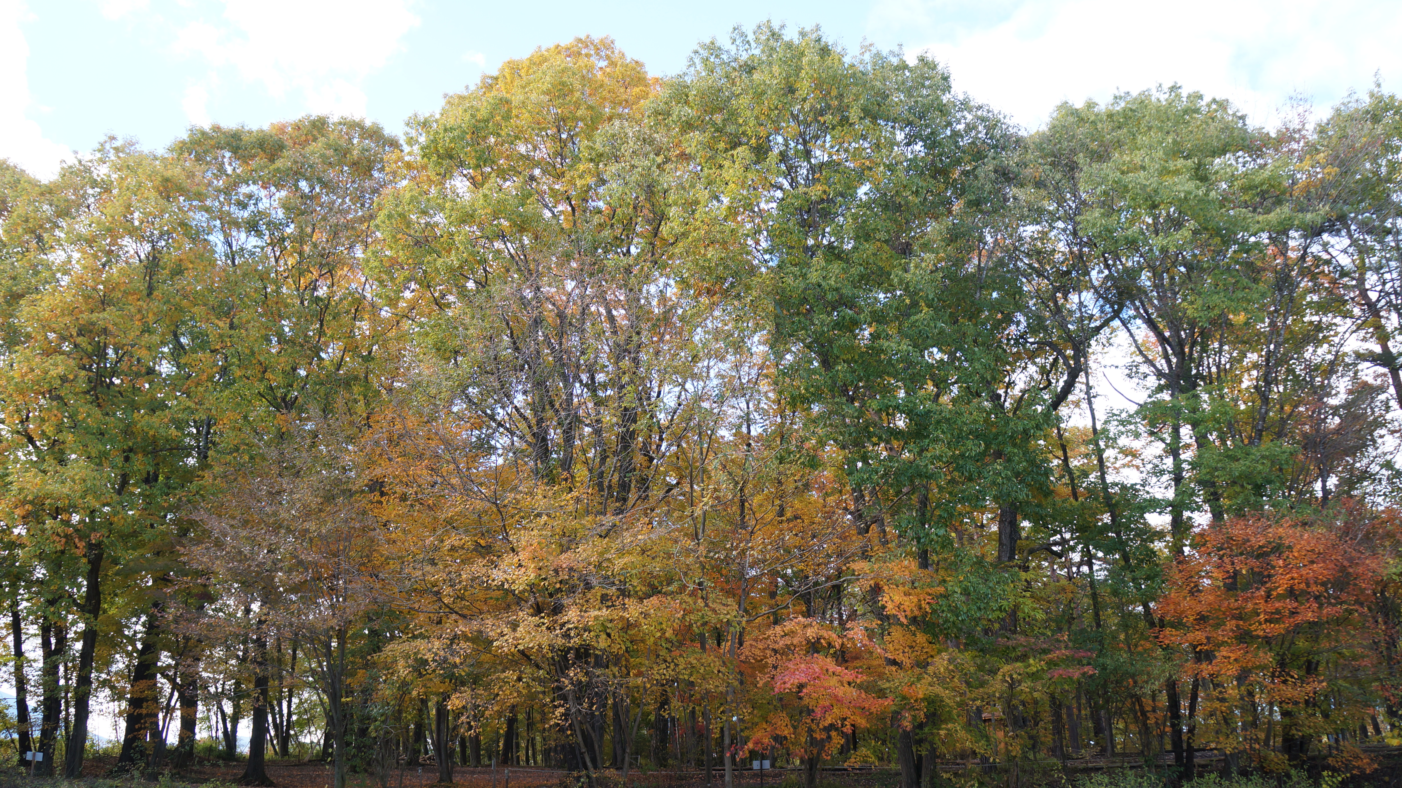 D322C15A-10C5-43CD-B724-394FD25E53B1