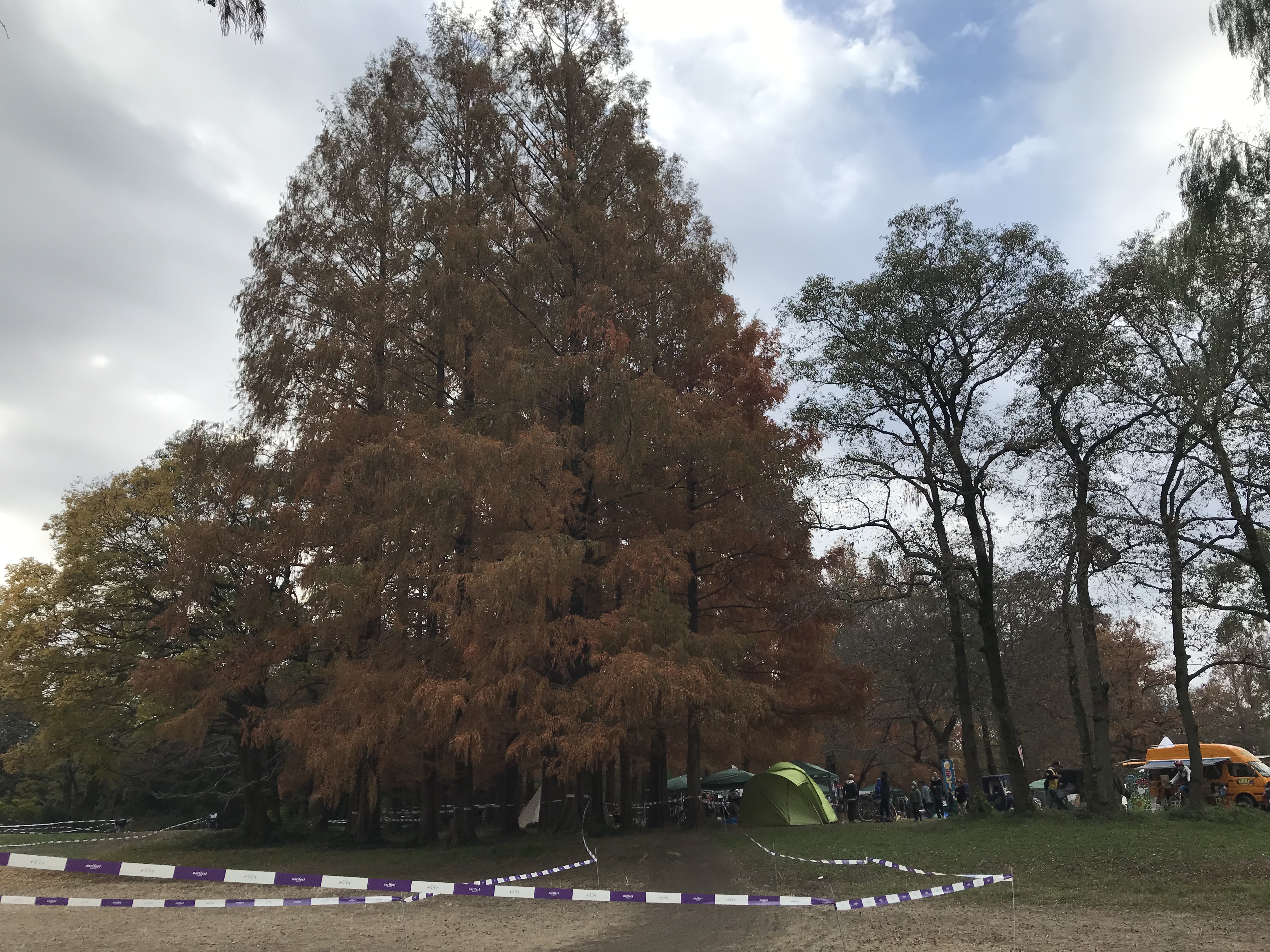 B6C4FB09-F606-4F17-B9EF-E6984AC51057