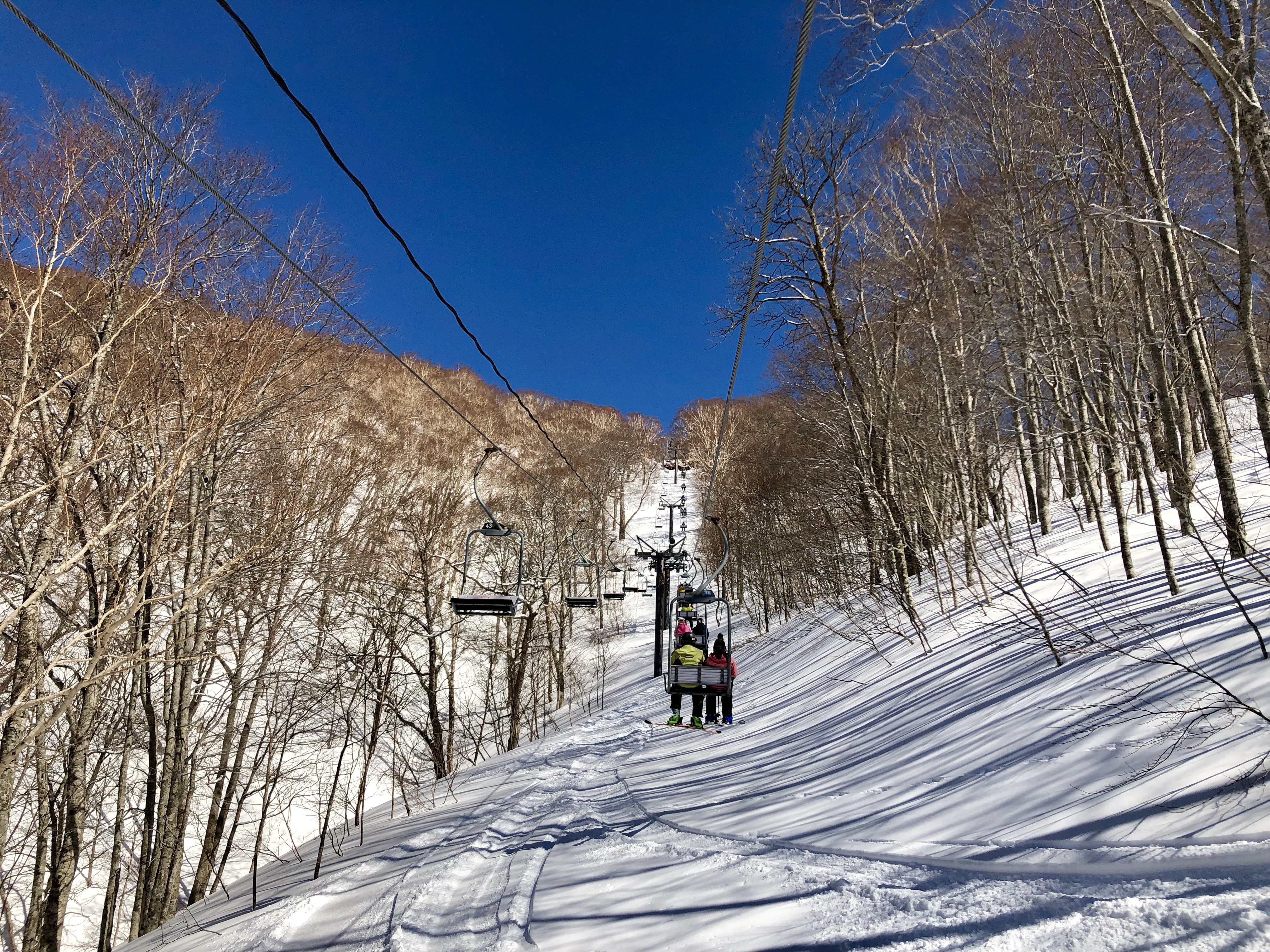 4721C8E5-1300-4750-B877-26A3A3599DA1