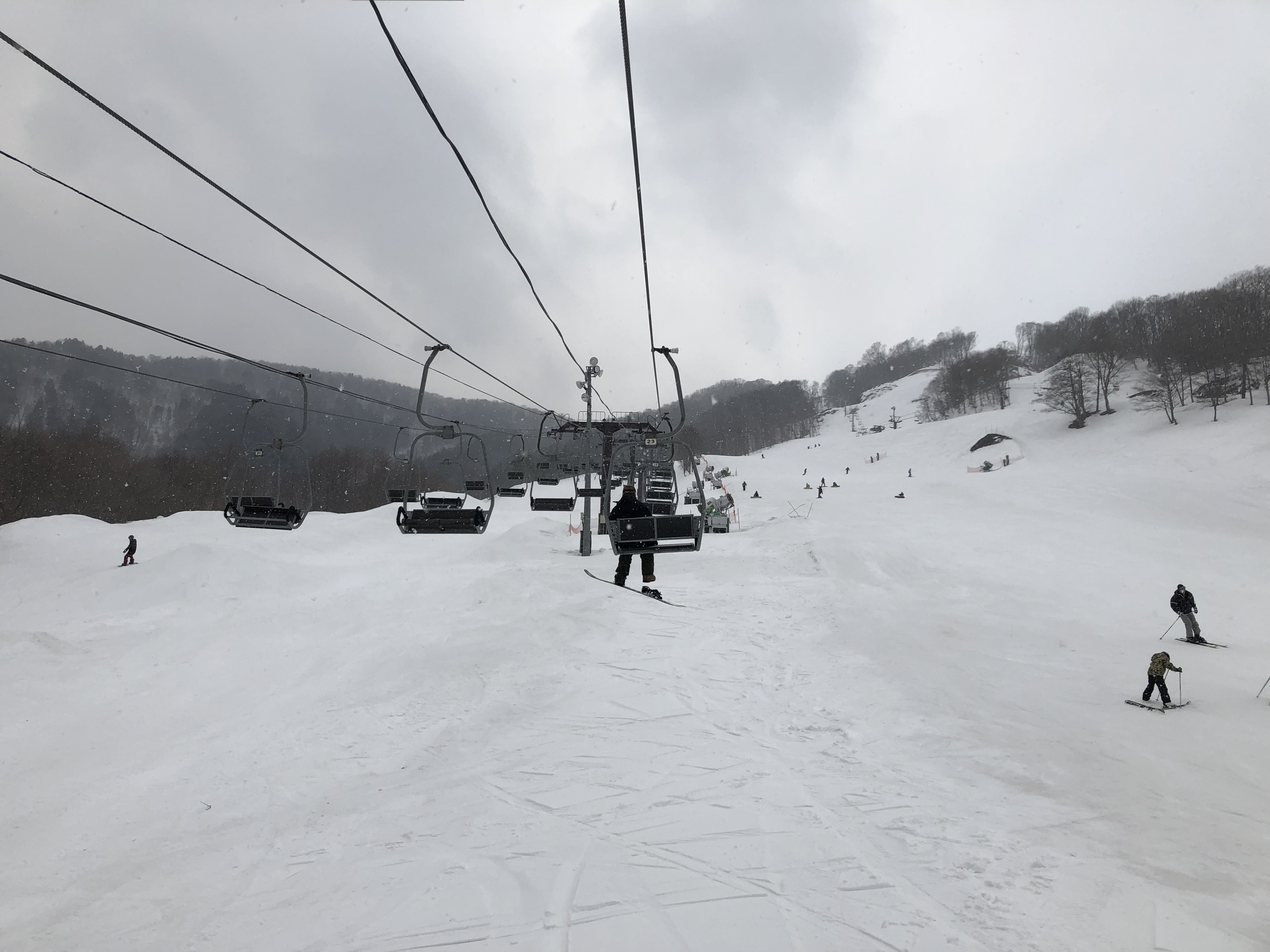 74C35220-306E-4D71-91D8-984E316381BE