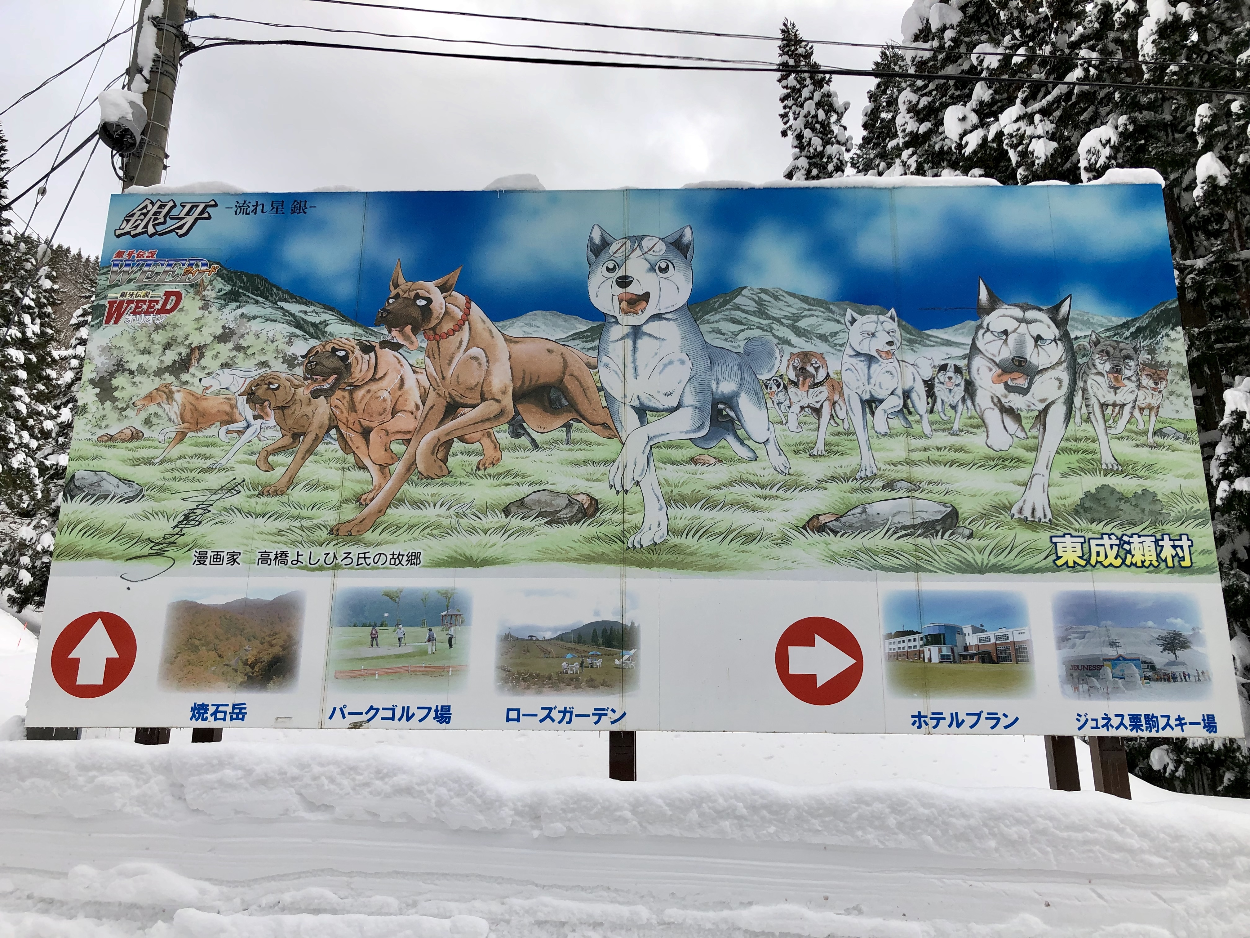 81B6AC4F-0CBD-48C3-929A-87AC3DD96710