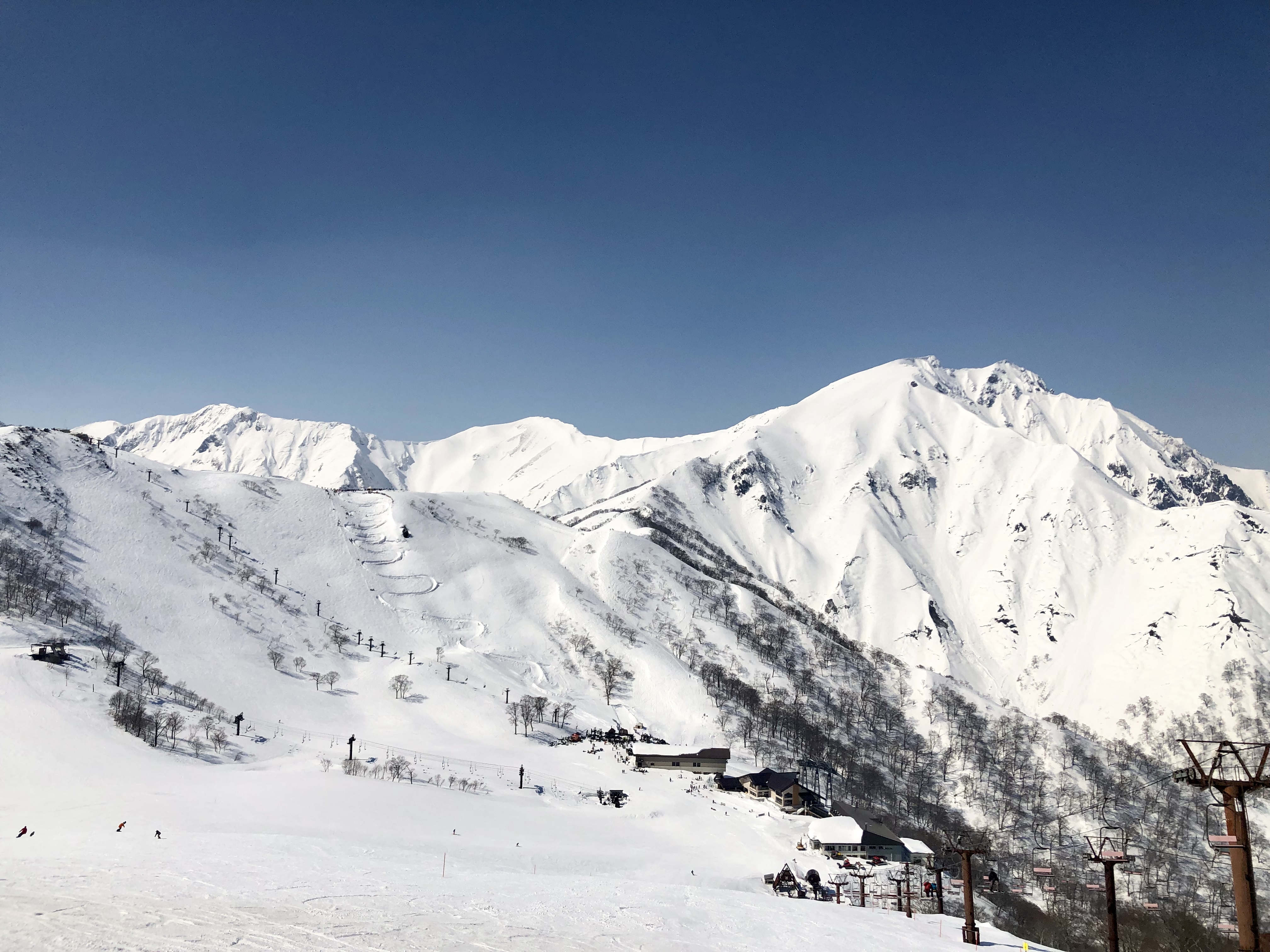 93A3ED17-0C57-457B-A229-02D1B7EE9BBE