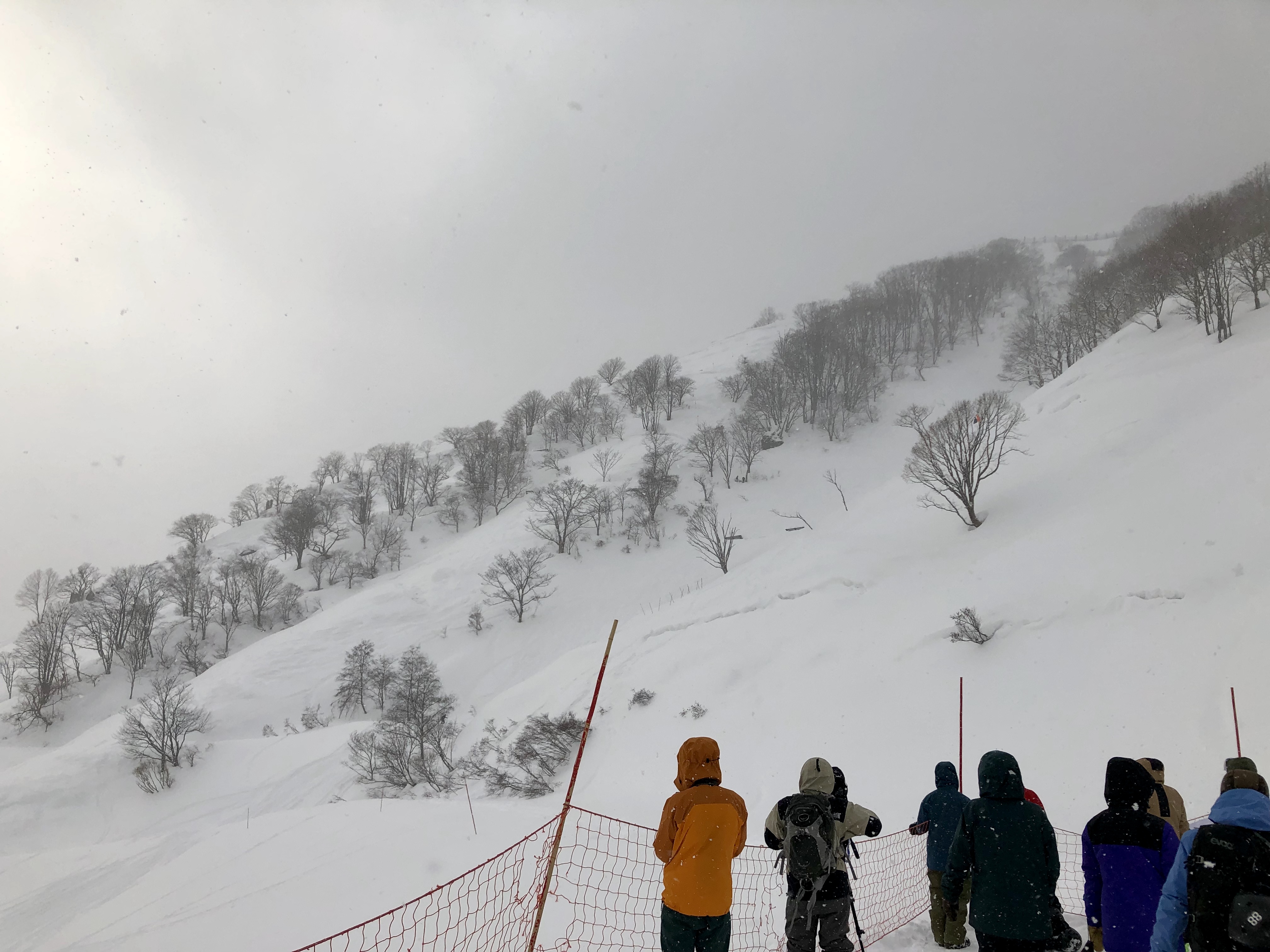 D0D2224C-A233-4BC0-9E35-0C3067958D7C