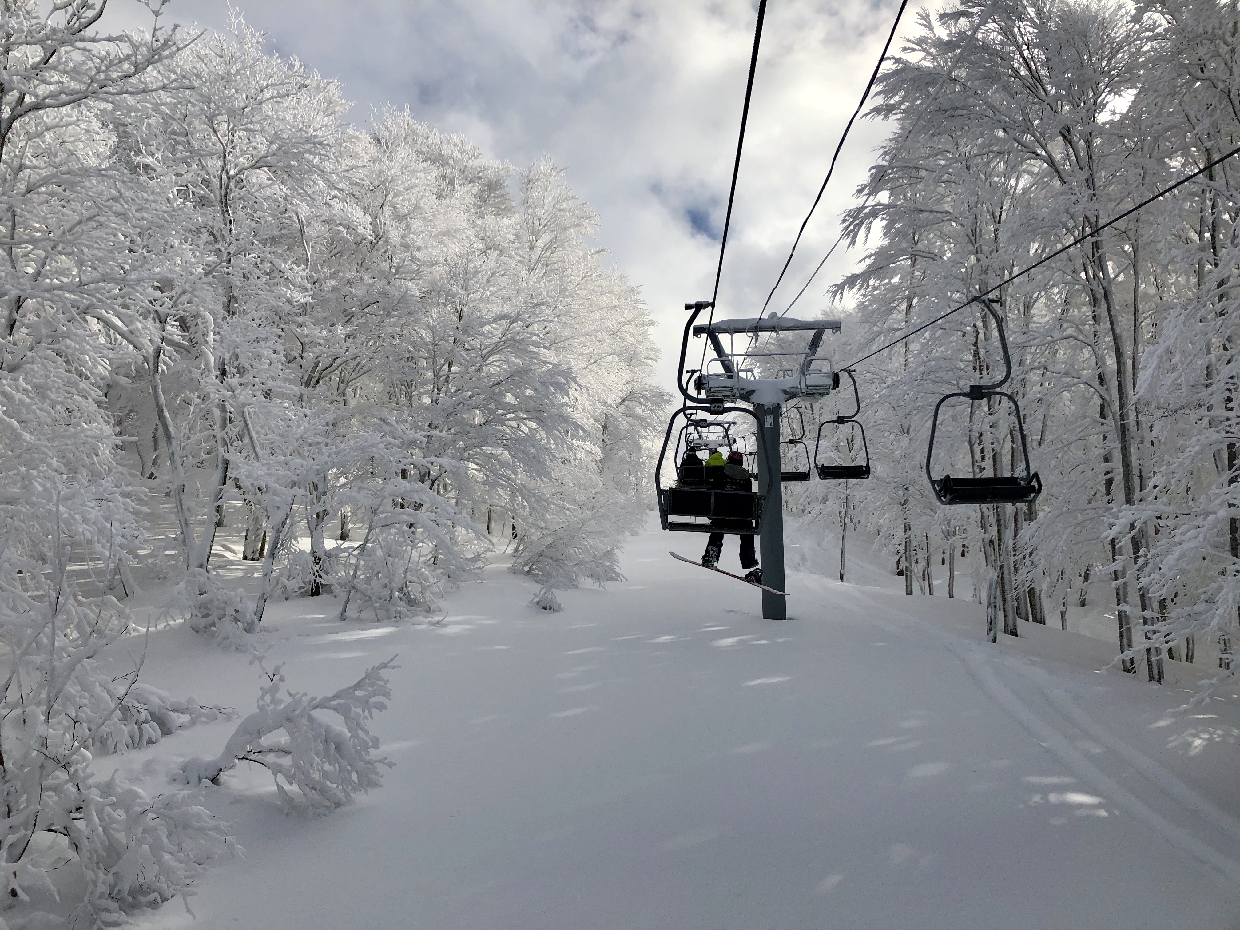 ED46E527-C3B3-4A10-8B52-140FDCC97875