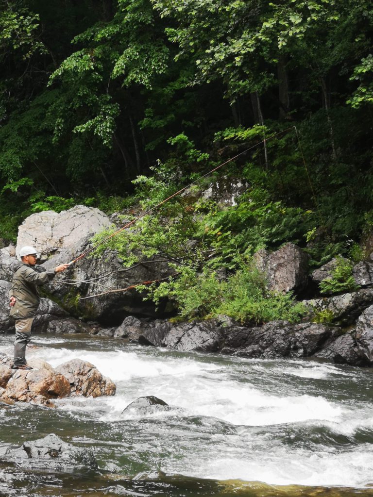 22C8547B-5C21-4727-A6E2-2D63DE64FE5D