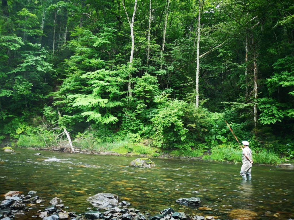 A9A959FC-C303-47F9-B719-49E25CB189A6