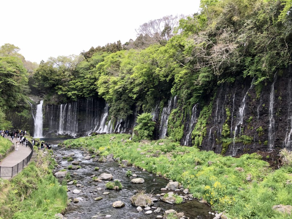 AFC4E8F8-A30B-44A6-9157-4771052DF4F6