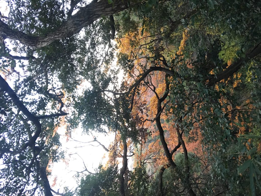 B94EF83C-1381-47B3-9D71-C1488868D43E