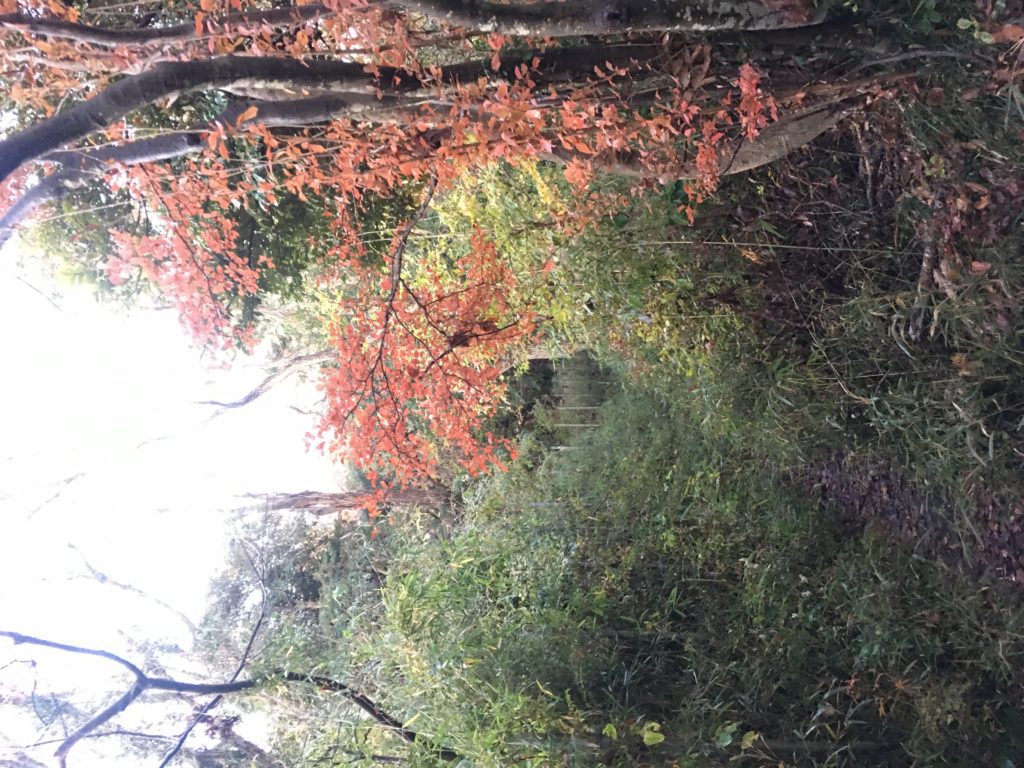 C7692A7C-A1DB-43A3-A00A-A0AA0257B4F1