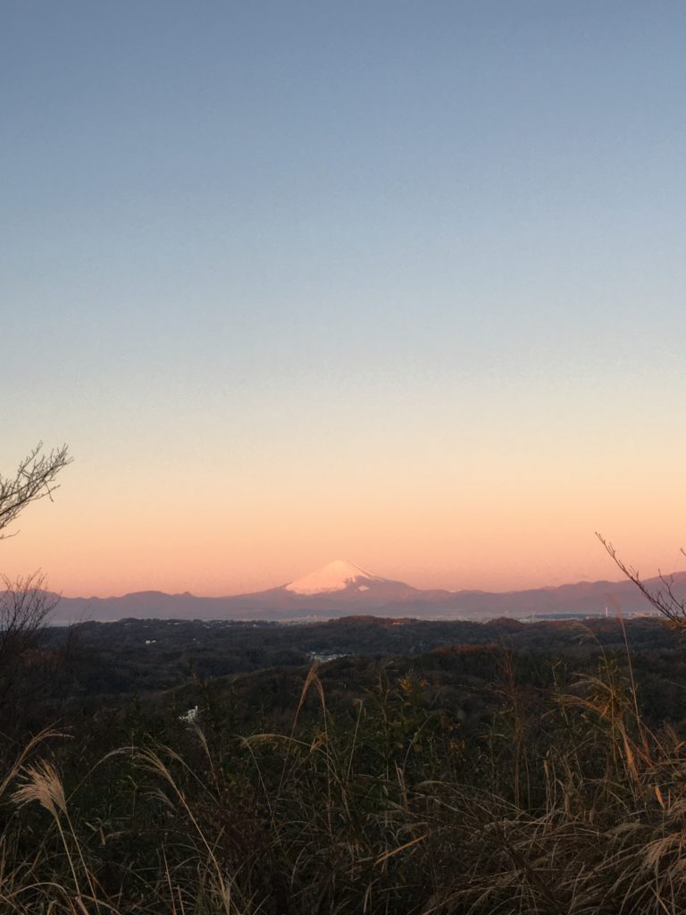 BC94B94B-CFF1-44E8-AFF1-8F48CFCC926F