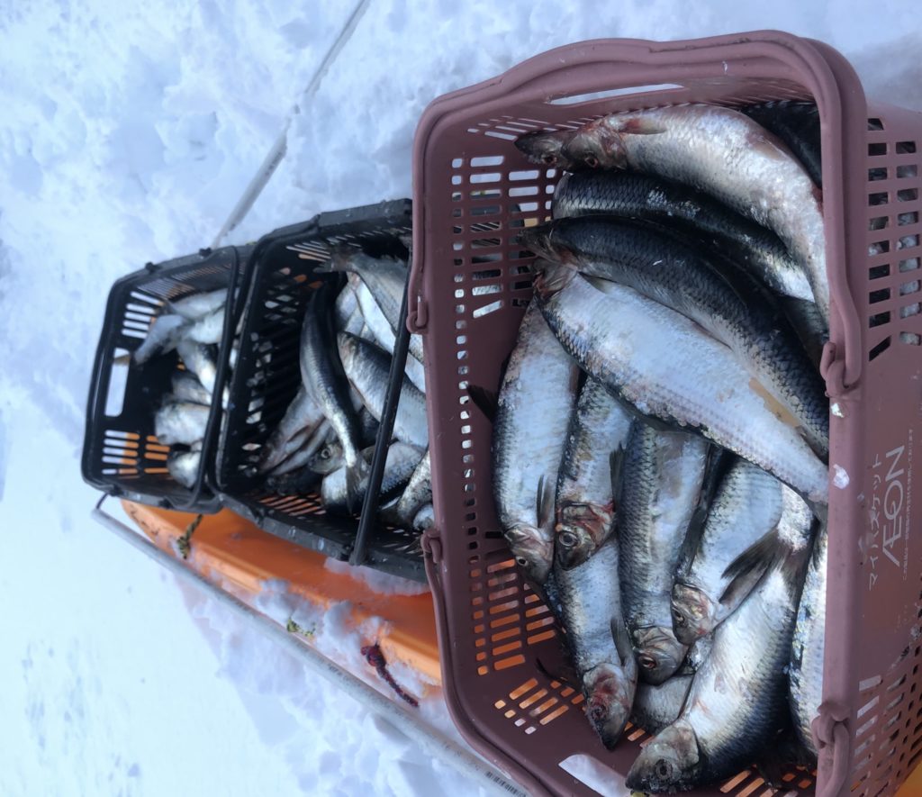 85295A8F-358F-423A-BE25-44EC7B3C9D2D