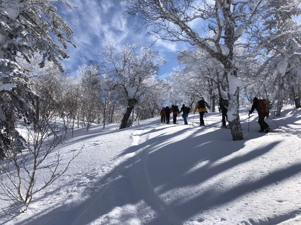 64A4F227-8337-4322-90CE-23E5005C8E89