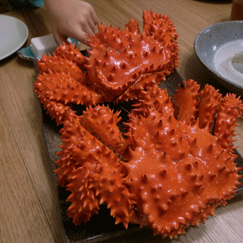 2008071503kani.gif